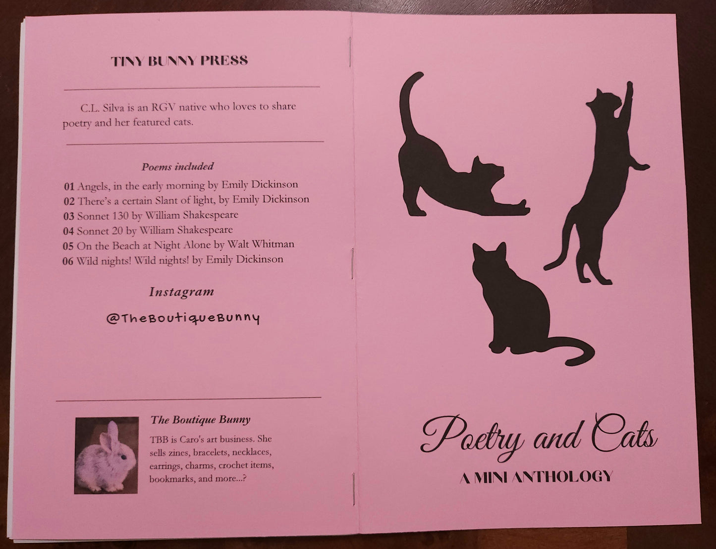 YELLOW COVER | Poetry & Cats | A Mini Anthology | Zine